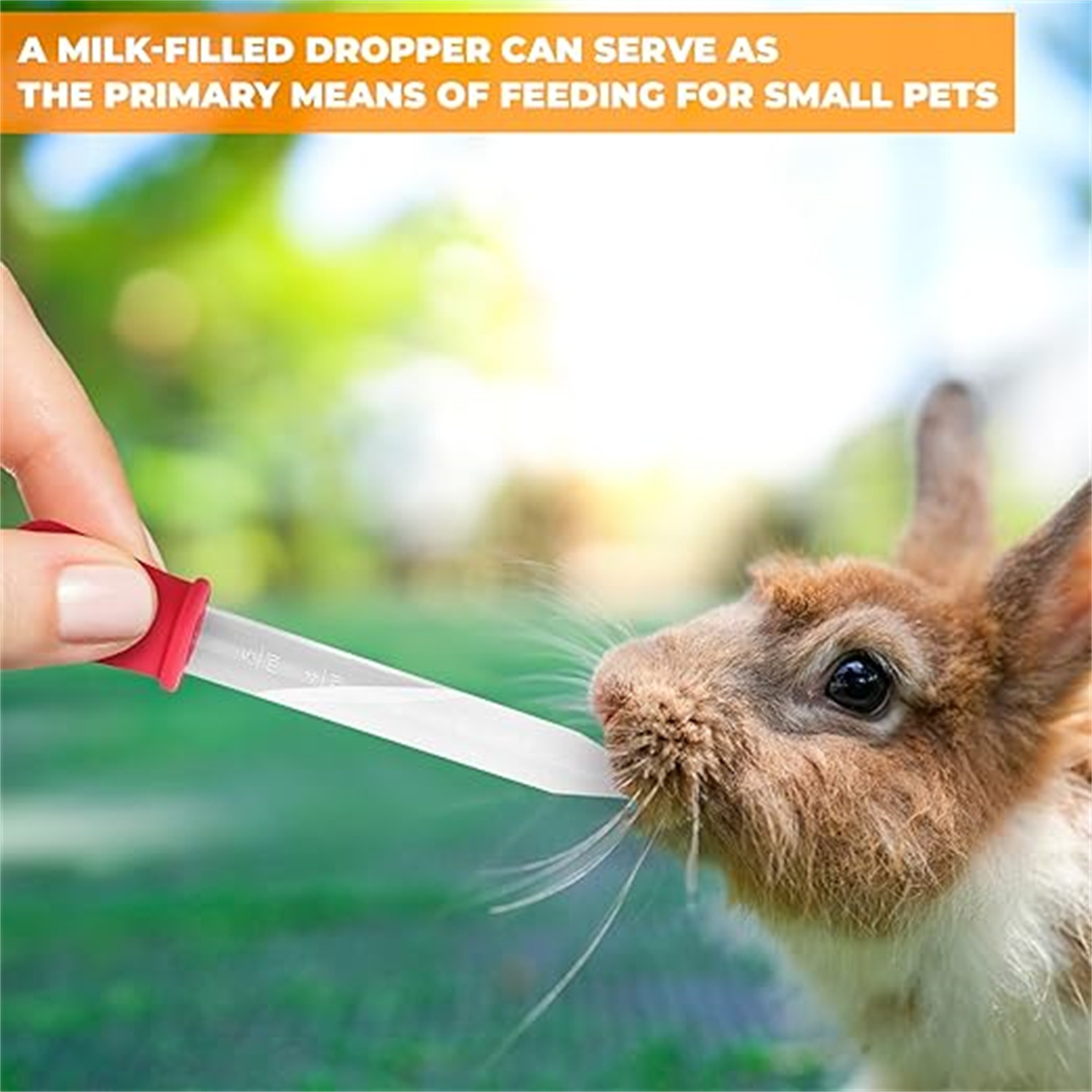 8 pipetas de silicona y plásti - Lab Pipette Tip reseña y precio