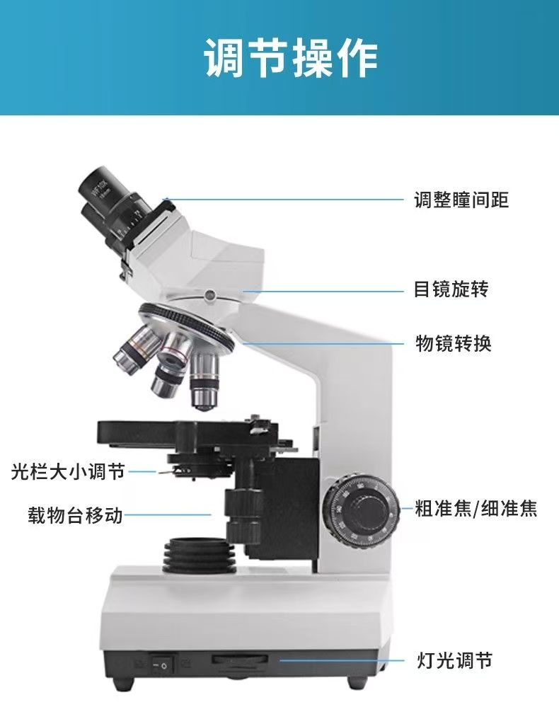 Microscopio Binocular Óptico p - Medical Lab Study reseña y precio